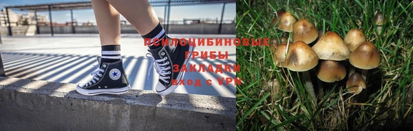 спиды Тайга