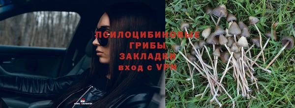 кокаин Елизово