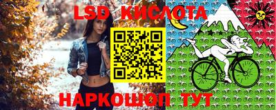 спиды Гусь-Хрустальный