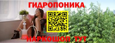 спиды Гусь-Хрустальный