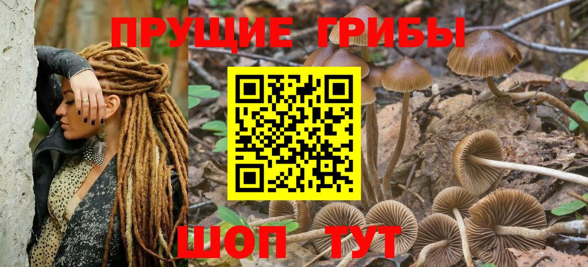Славянск-на-Кубани  Галлюциногенные грибы Cubensis  Вход с VPN  Псилоцибиновые грибы Psilocybine cubensis 
