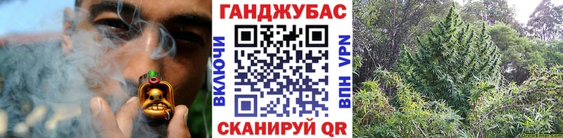 Бошки марихуана Bruce Banner  hydra tor  Славянск-на-Кубани 
